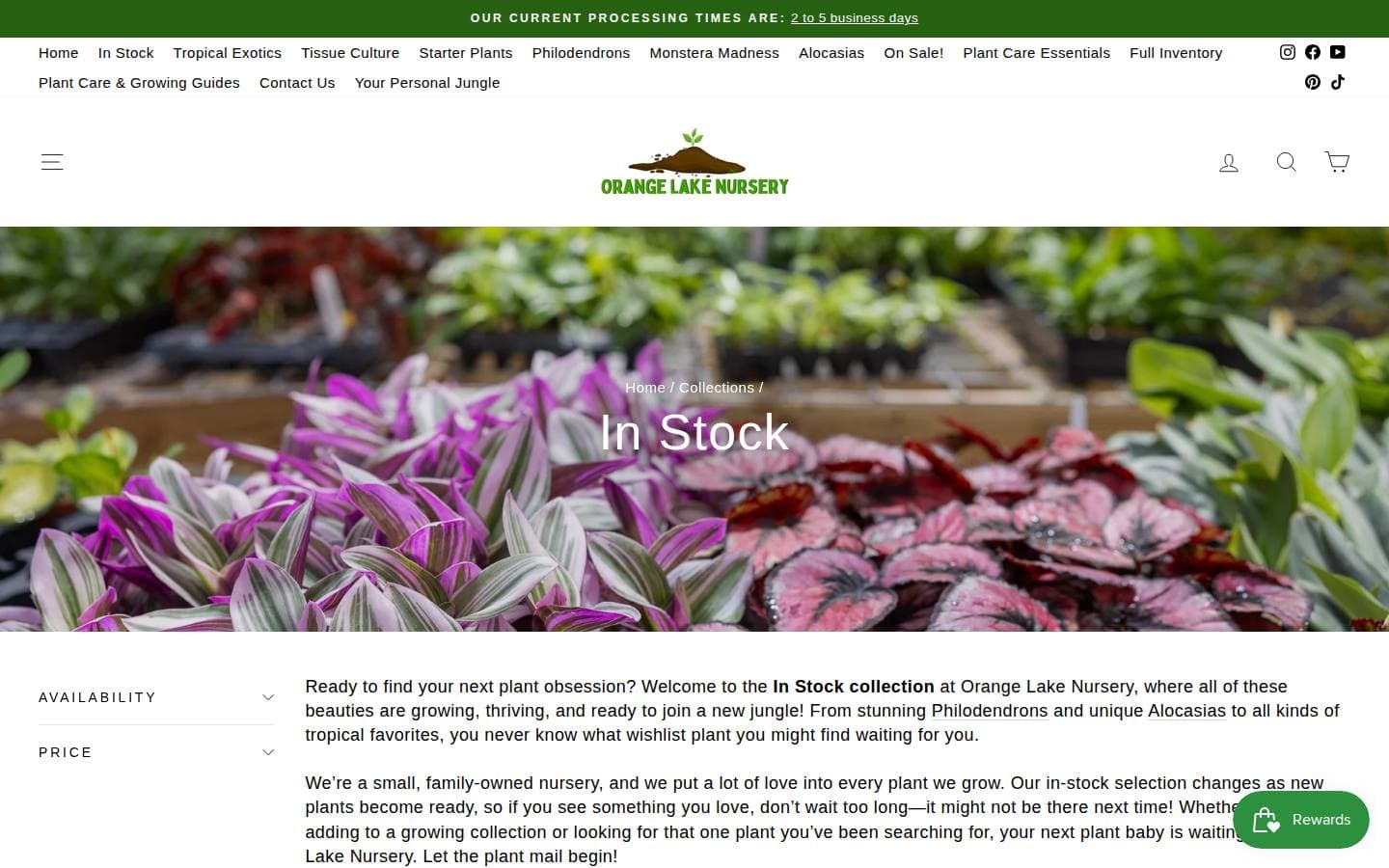 In Stock & Ready To Ship Plants-Orange Lake Nursery